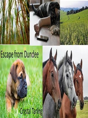 cover image of Escape from Dundee